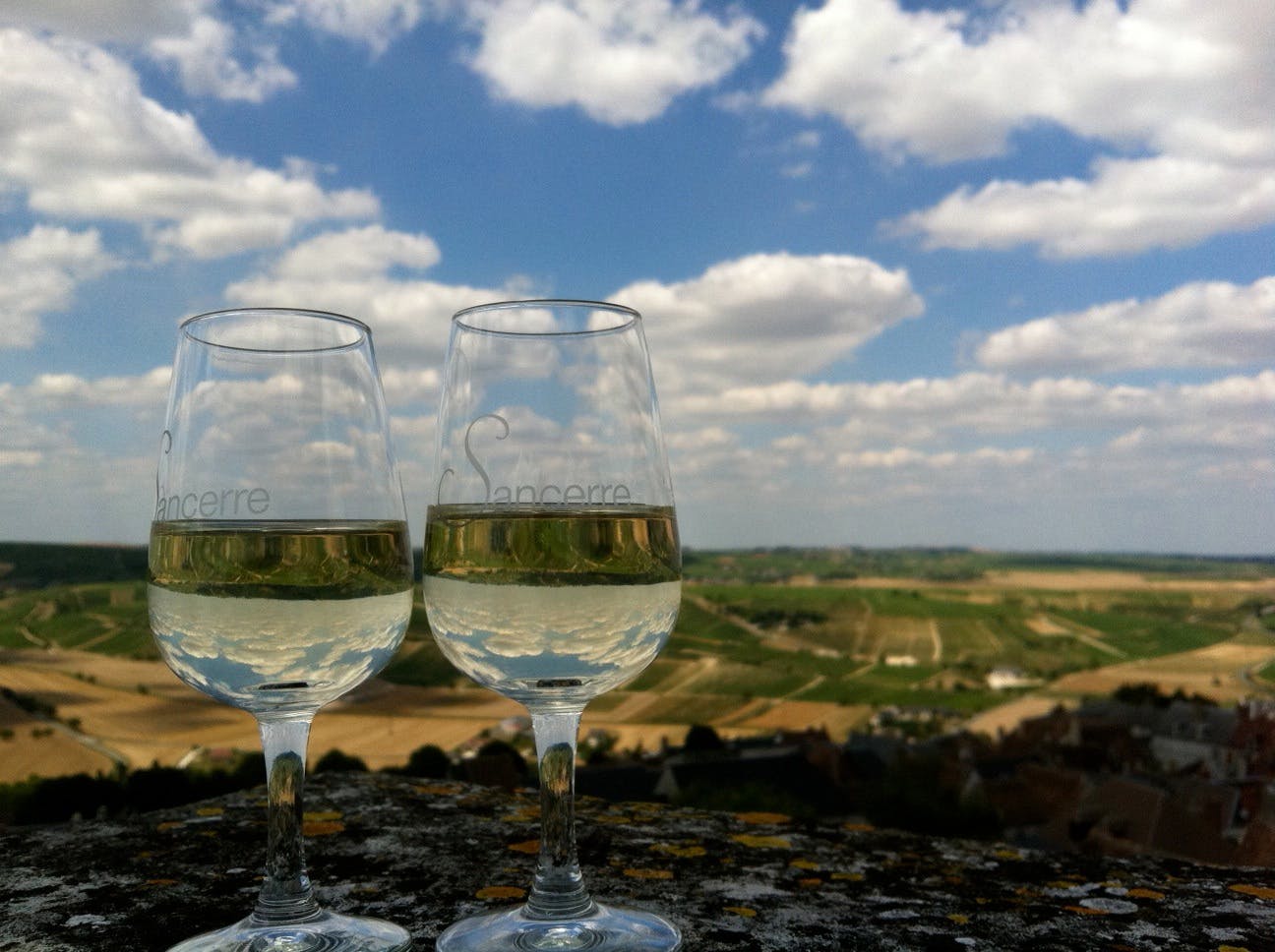 hvitvin av sauvignon blanc fra sancerre i loire